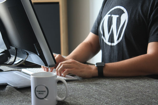 A web developer with the WordPress logo on his t-shirt